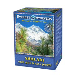 Herbata ajurwedyjska SHALARI - dna oraz obrzęki stawów